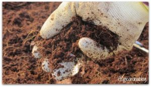 turba-o-fibra-de-coco